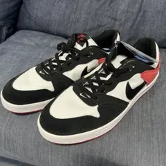 レアサイズ　新品　NIKE SB ALLEYOOP SB アリウープ