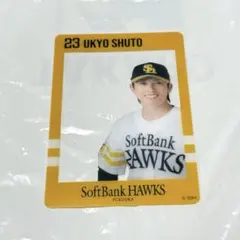 福岡ソフトバンクホークス 周東佑京 シークレット推しフレームカード