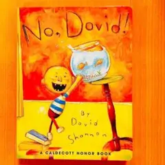 英語絵本No, David!洋書 読み聞かせ