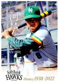 Item thumbnail for item 02f27972-22f0-4f46-94e0-0354f2a442ad