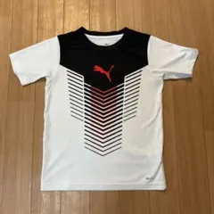 PUMA Tシャツ　140