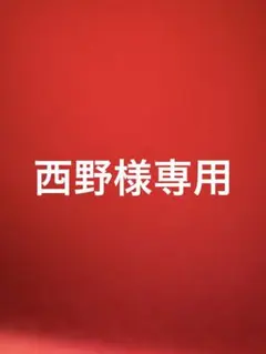 西野様専用