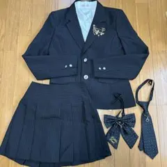 ストライプネイビージャケットセット 165A ブローチ付き　卒業式などに！