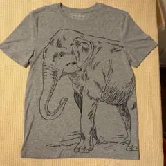 BANANA REPUBLIC 象 グラフィック Tシャツ グレー XLのサムネイル