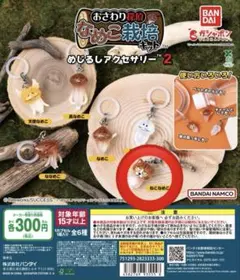 【新品未使用】なめこ栽培キット めじるしアクセサリー2 ねこなめこ
