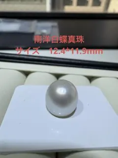 南洋白蝶真珠パールルース 12mm ホワイトピンクカラー - メルカリ