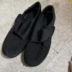 Item thumbnail for item aff7bb02-6410-42e4-bfdb-bb18c2c9f6aa