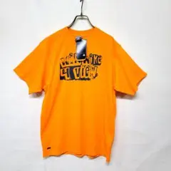 【新品デッド】00's y2k vintage nike acg tシャツ M