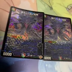 堕チシ八叉ノ蛇神 ナルガロッチヴリドカルド 2枚セット