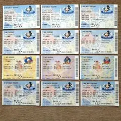 東京ディズニーランド／ディズニーシー　パスポート12枚【使用済み】