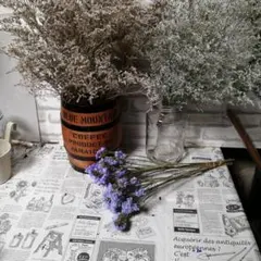 colorer様 リクエスト 2点 まとめ商品