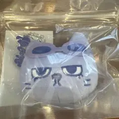 BOYNEXTDOOR BBNEXDO プネクド キーリング テサン