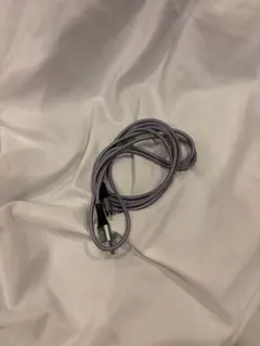 Type-A iPhone充電ケーブル