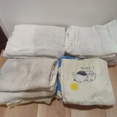 Item thumbnail for item ed559709-3df4-4f01-bed7-9f5b724cf368