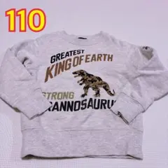 110 トレーナー　恐竜　グレー　ティラノサウルス　トップス