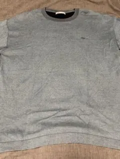 ZARA Tシャツ 刺繍ロゴ