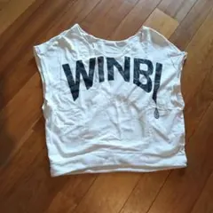 Item thumbnail for item 68a19516-0f54-4854-a235-59134b0dfde6