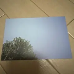 Item thumbnail for item 35f16cc7-4662-41e0-ad7a-6ed48db92983