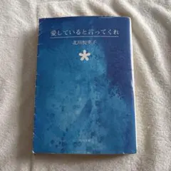 2026年最新】豊川悦司 愛していると言ってくれの人気アイテム - メルカリ
