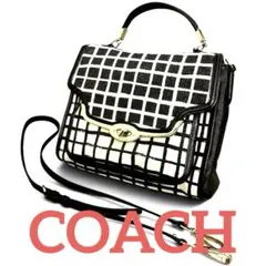 ✨【美品】✨COACH マディソン グラフィックプリント スモール セイディー