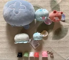 新江ノ島水族館 えのすい くじ　くらげ