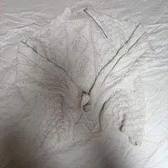 Item thumbnail for item 8b581e47-3bff-4c40-b74d-4d26c68da201