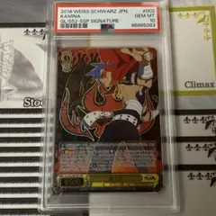 カミナ SSP PSA10 2026年最新】ヴァイス カミナ sspの人気アイテム - メルカリ