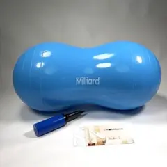 青 Physio Roll Plus バランスボール - メルカリ
