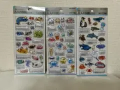 大人の図鑑シール 3種セット ウミウシ クラゲ 海洋生物編