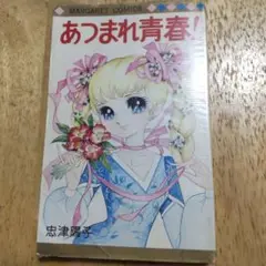 2025年最新】忠津陽子の人気アイテム - メルカリ