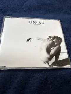 コイ様 リクエスト 3点 まとめ商品