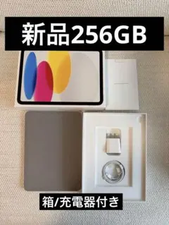 iPad 第10世代 256GB ブルー 箱有 Apple Pencil セット - メルカリ