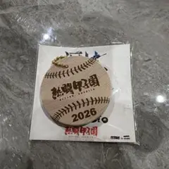 熱闘甲子園 2026 木製キーホルダー 신품