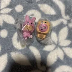 スキズ　SKZOO つまんでつなげてますこっと2 トゥエッキ　パピーム　バンダイ