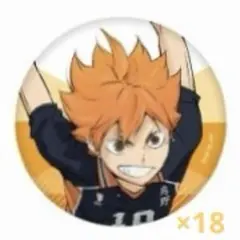 ハイキュー!! 10th Anniversary 缶バッジ 日向翔陽