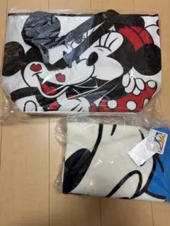 ディズニーストア　保冷バッグ＆ドナルドバスタオルのサムネイル