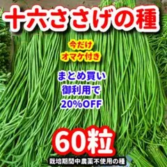 2614sayaka様 リクエスト 2点 まとめ商品