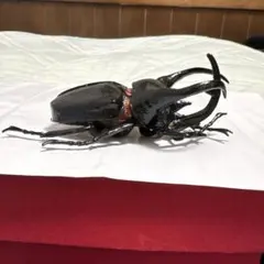 Item thumbnail for item 8be4adec-81a8-42d2-87d2-d2e985d7a5eb