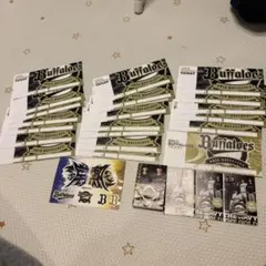 オリックスバファローズ　チケット入れ