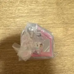 BT21 パッケージチャーム&チョコボーロ MANG BTS ホビ