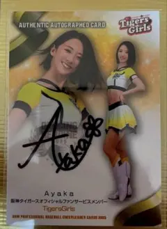 Item thumbnail for item 1e348aa8-3158-449d-999c-01bff7f045ca