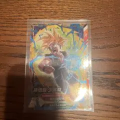 ドラゴンボールスーパーダイバーズ大会プロモ 孫悟飯：少年期 SDVTP