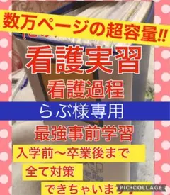 らぶ様 看護学校 看護学生 看護実習 手順書 関連図 計画 アセスメント 国試