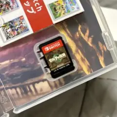 ゼルダの伝説ティアーズオブザキングダム　カセットのみ