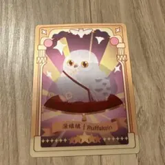 ハリー・ポッター miniso カード ヘドウィグ ピグミーパフ ニフラー