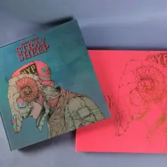 米津玄師 STRAY SHEEP アートブック盤　CD+DVD