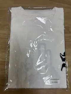 真天地開闢集団ジグザグ 参拝装束〈定番2023〉Tシャツ白 半袖 - メルカリ