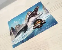 Item thumbnail for item bdc943fe-9070-4152-8514-aff92d7cebb3