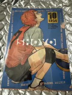 ハイキュー 最強ジャンプ ガシャ クリアファイル 日向＆影山