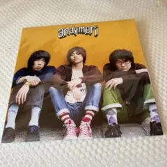 andymori「都会をすごい速さで走るベンガルトラ」　アナログ